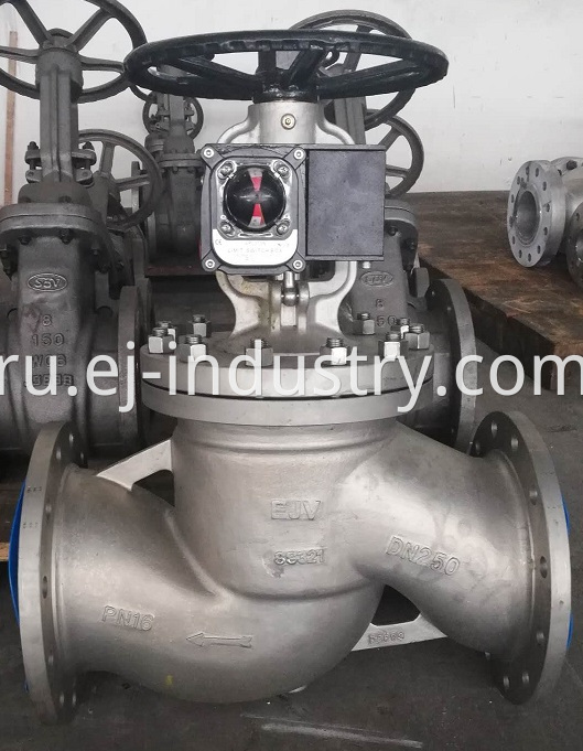 Bellow Globe Valve